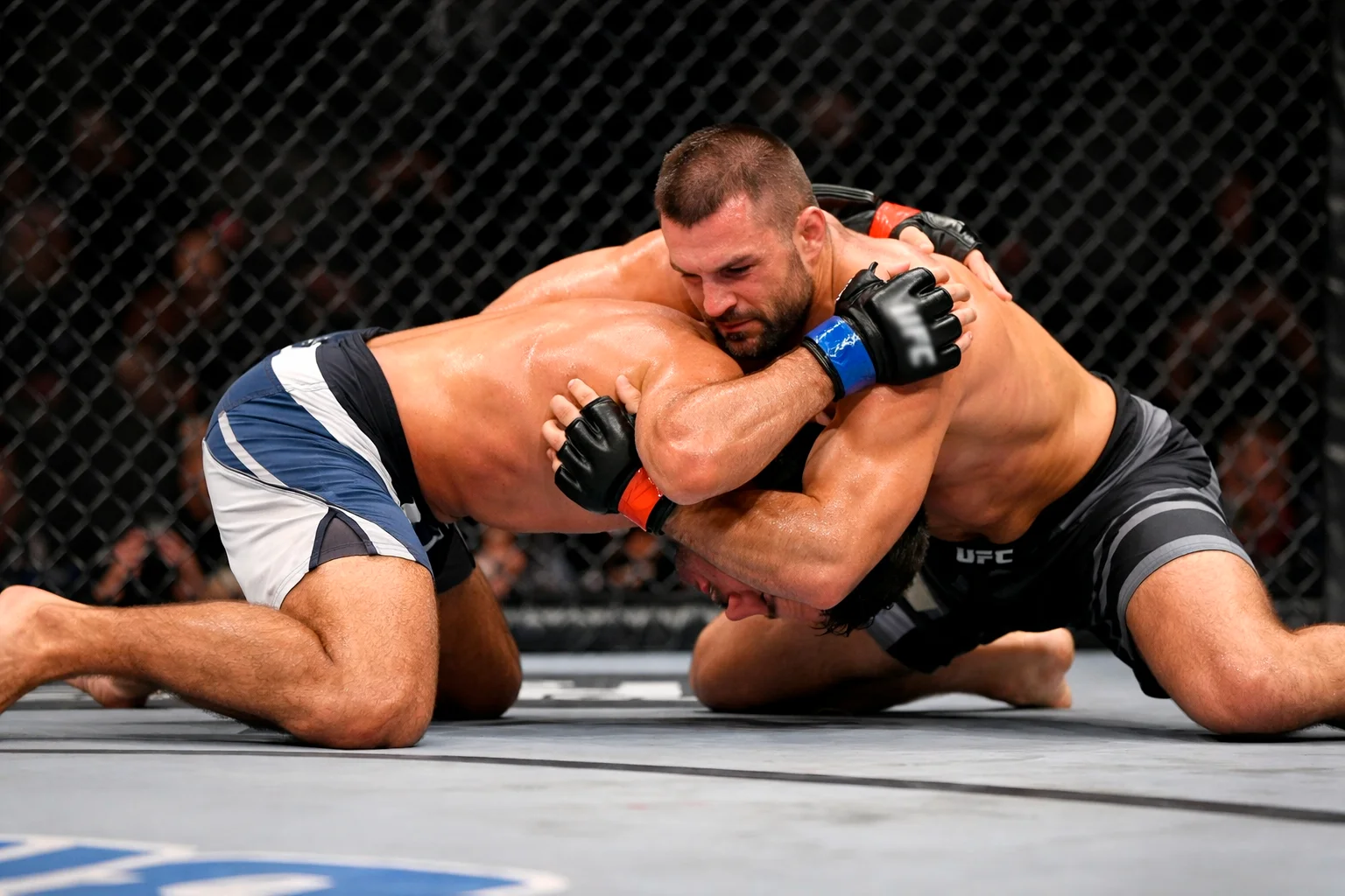 Luchador de UFC defendiendo un intento de derribo en el oct&aacute;gono
